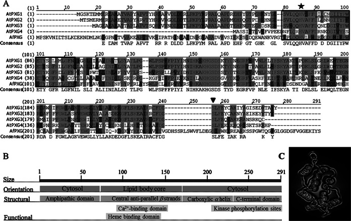 FIG 1