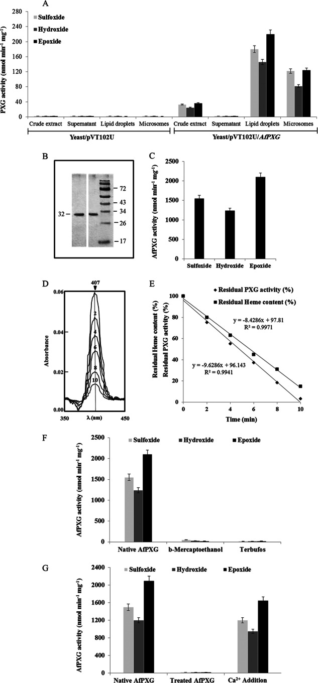 FIG 2