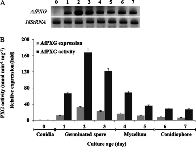 FIG 4