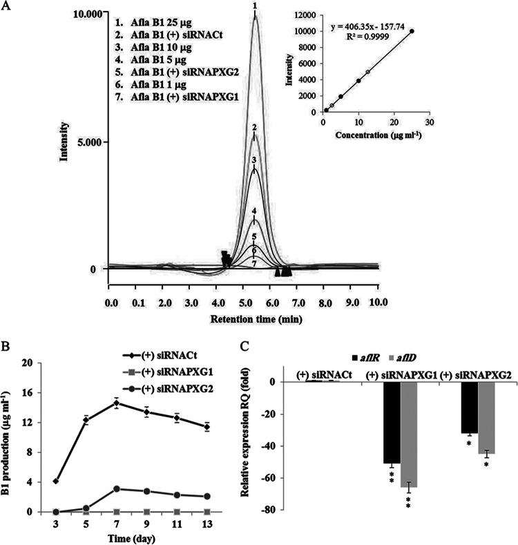 FIG 8