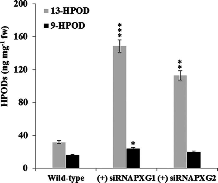 FIG 6