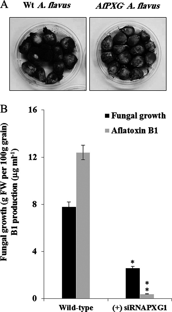 FIG 11