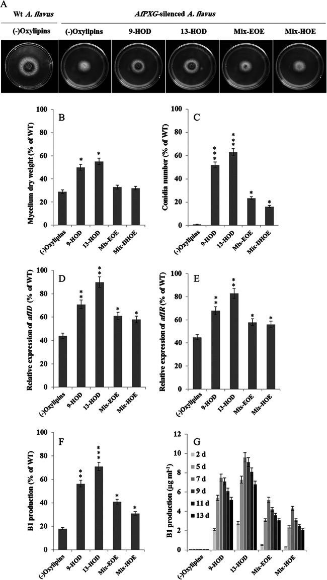 FIG 10