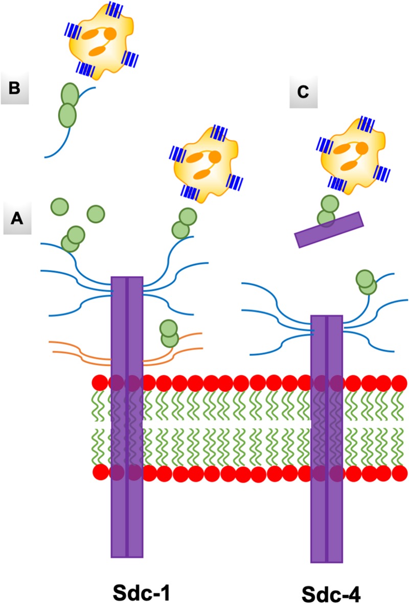 FIGURE 10