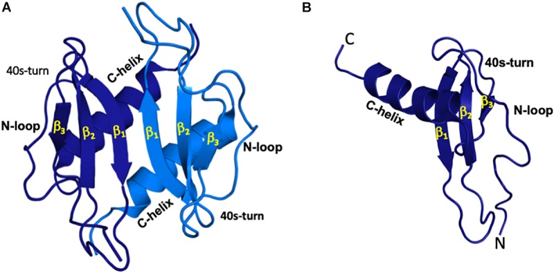 FIGURE 1