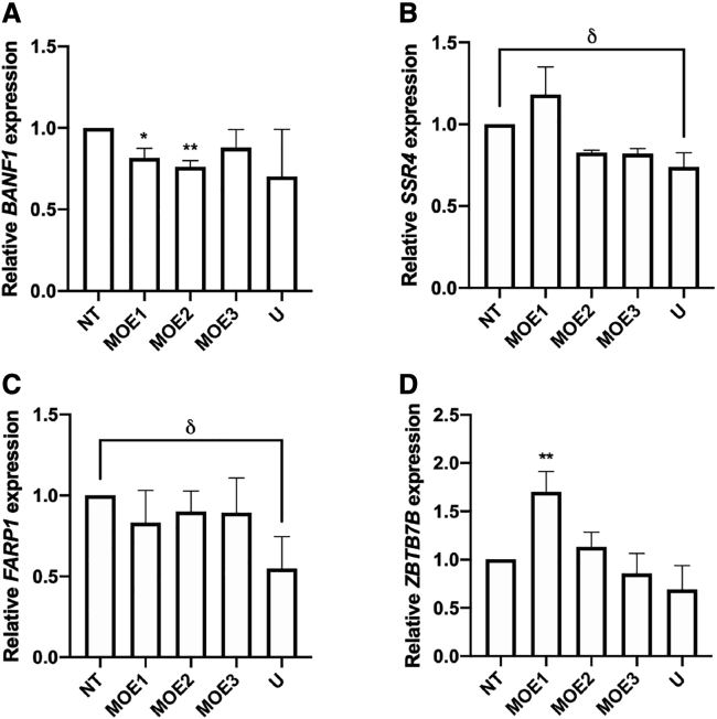 Figure 4