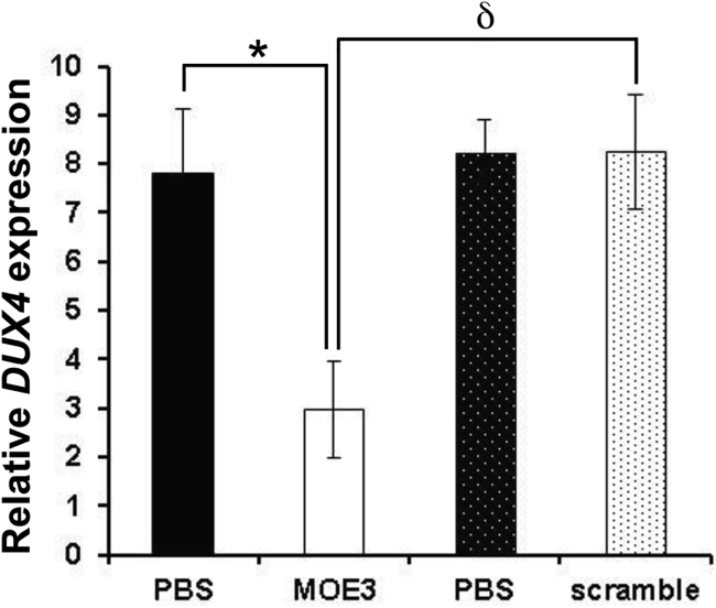 Figure 5