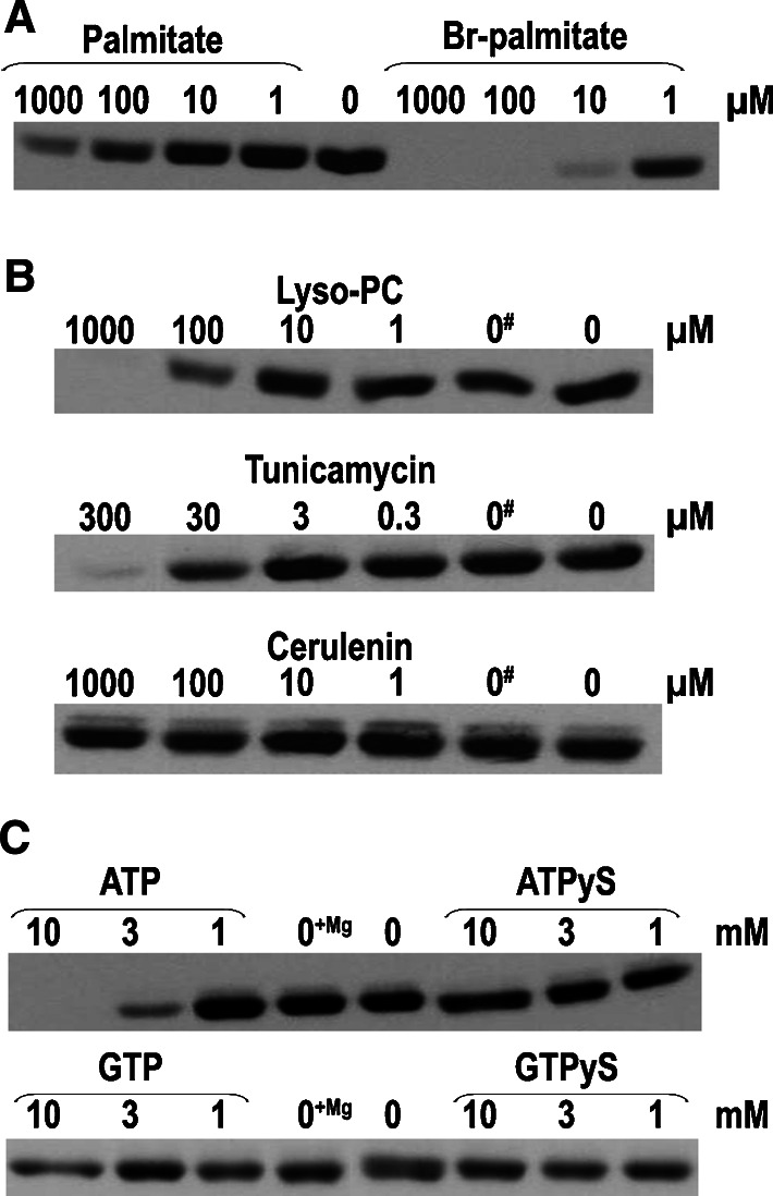 Fig. 7