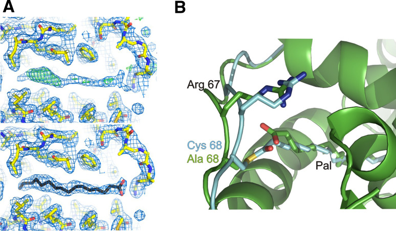 Fig. 4