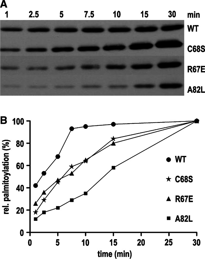 Fig. 3