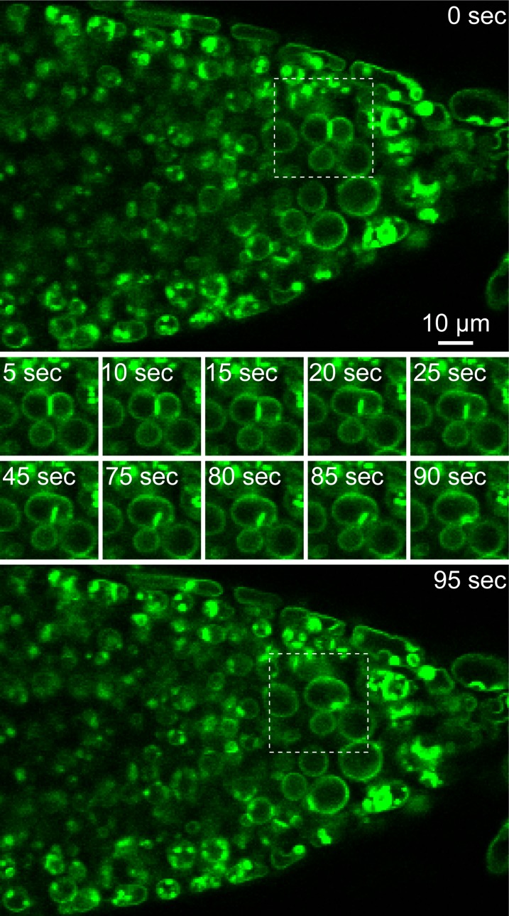 Figure 6.