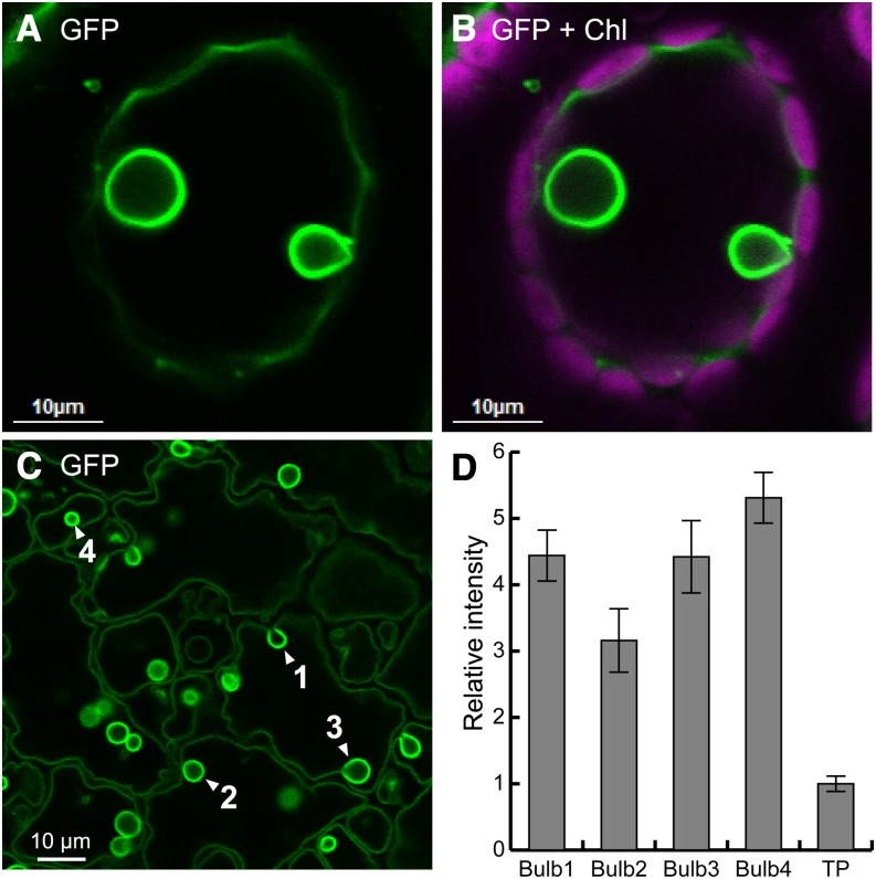 Figure 3.