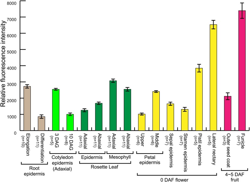 Figure 11.