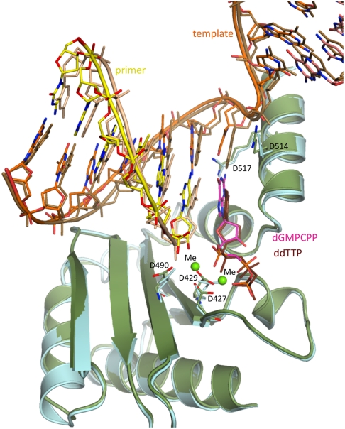 Fig. 1.