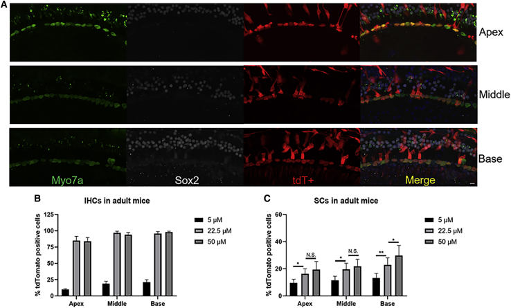 Figure 4