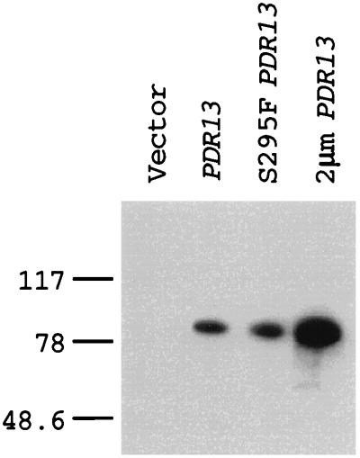 FIG. 5