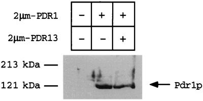 FIG. 7