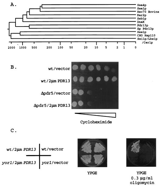 FIG. 1