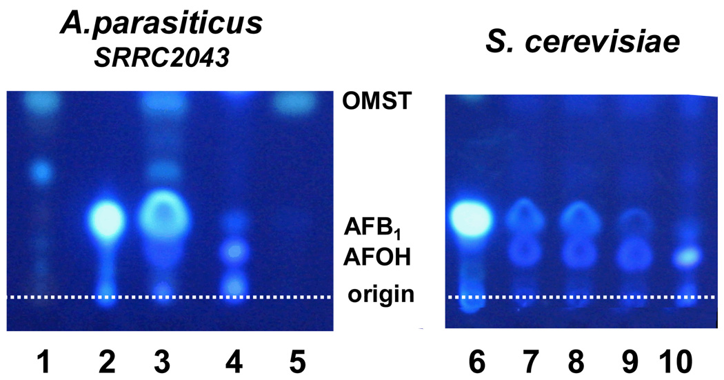 Fig. 3