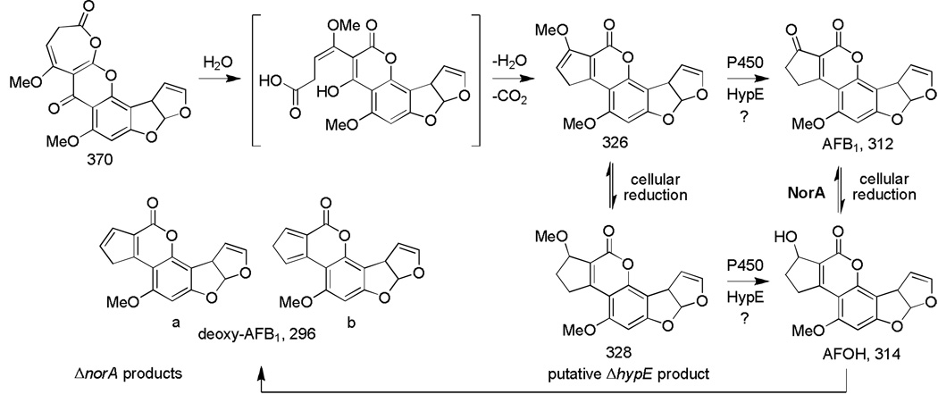 Scheme 2