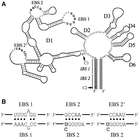 Figure 3.