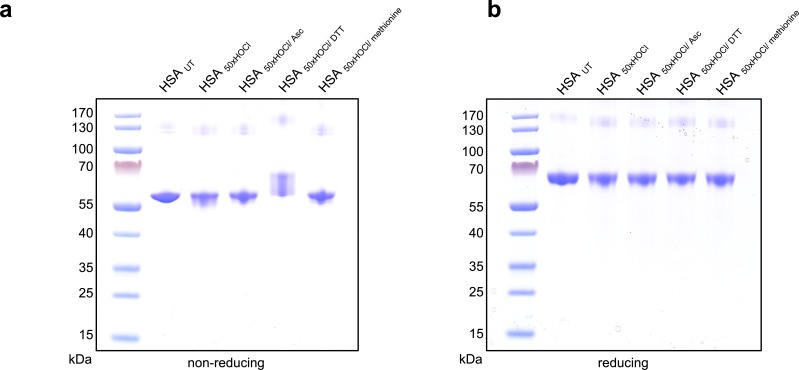 Figure 2—figure supplement 3.