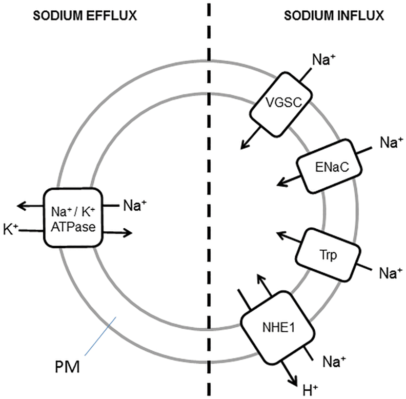 FIG. 2.