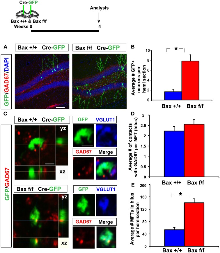 Figure 6