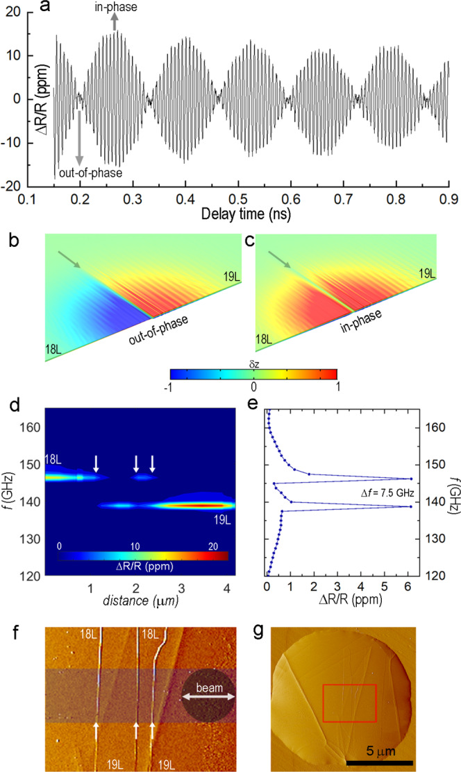 Fig. 2