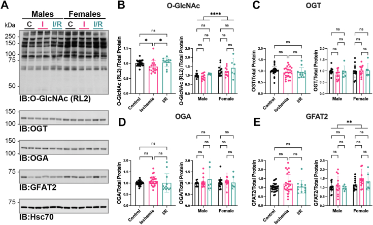 Figure 3