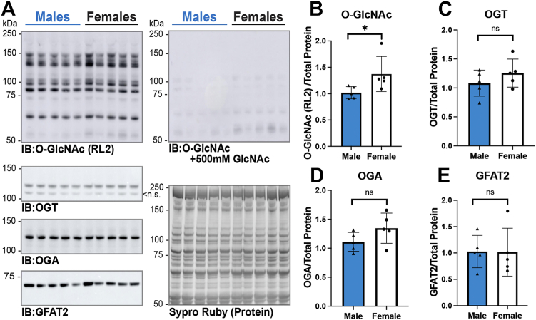 Figure 1