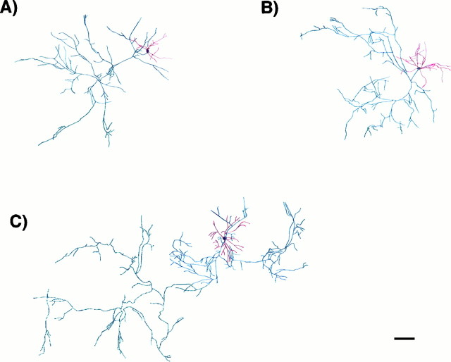 Fig. 9.