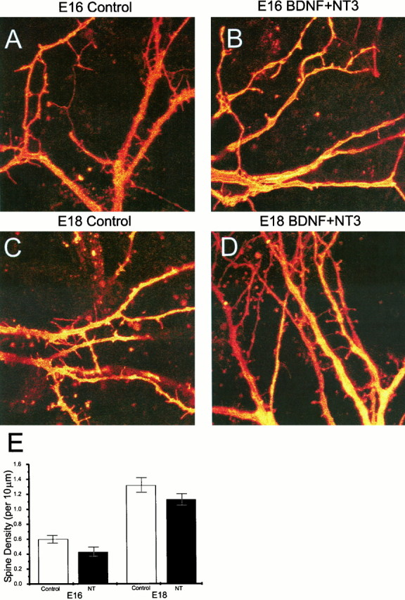 Fig. 12.