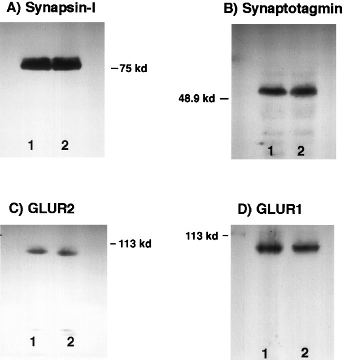 Fig. 14.