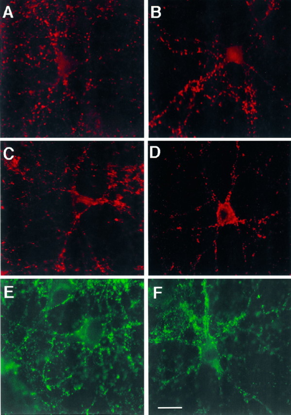 Fig. 11.