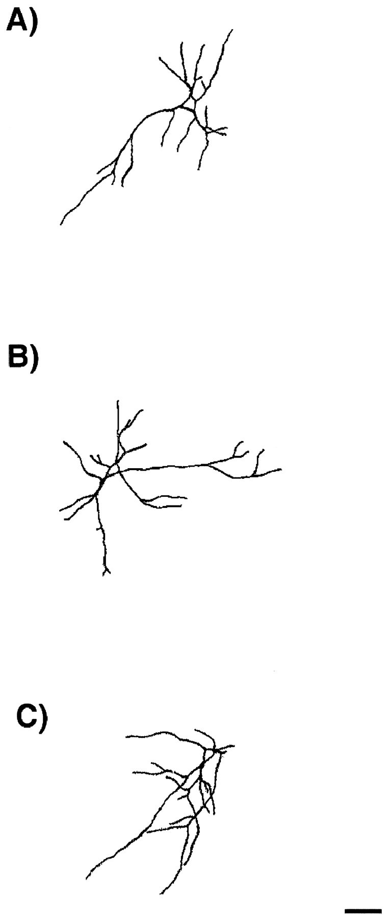 Fig. 8.