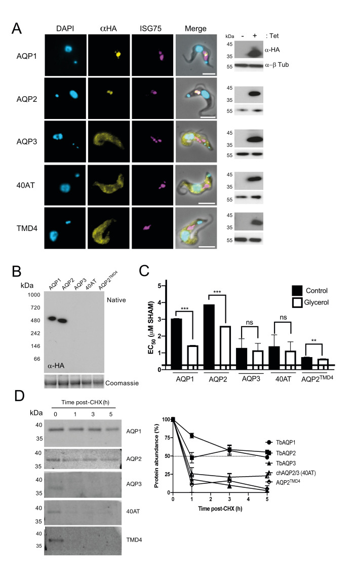 Fig 8