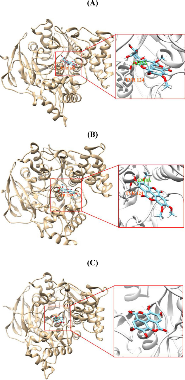 Figure 7