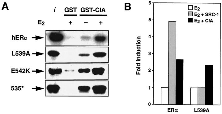 FIG. 7