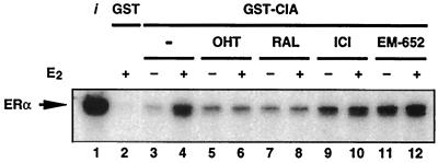 FIG. 8