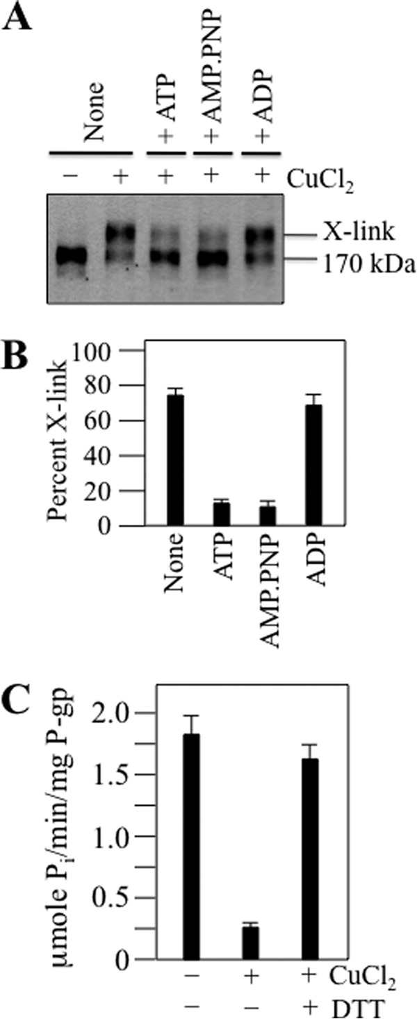 FIGURE 4.