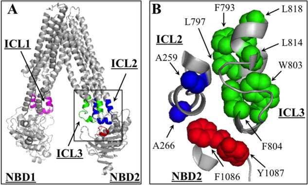 FIGURE 6.