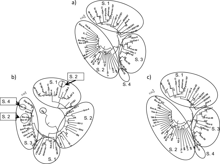 FIG 1