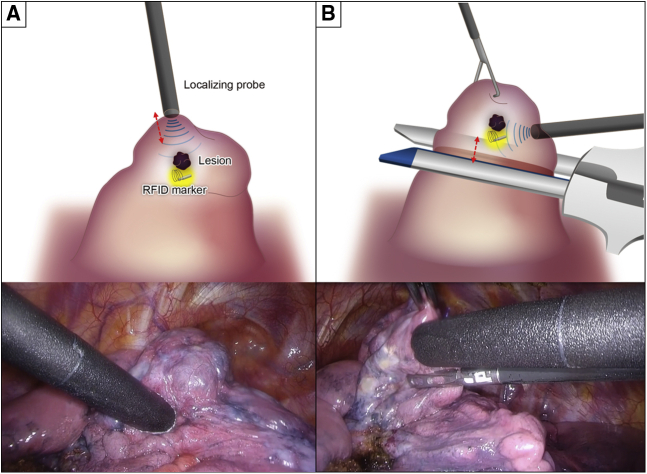 Figure 4