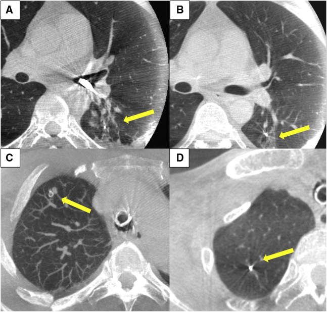 Figure 6