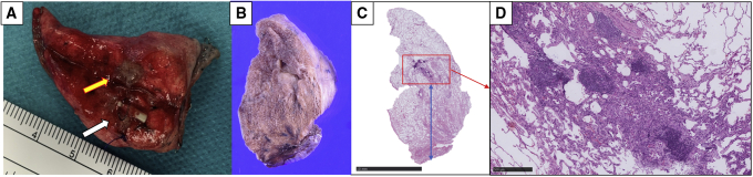 Figure 5