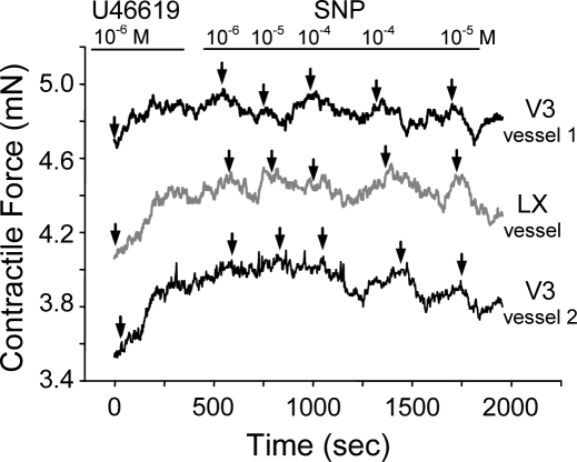 FIG. 8.