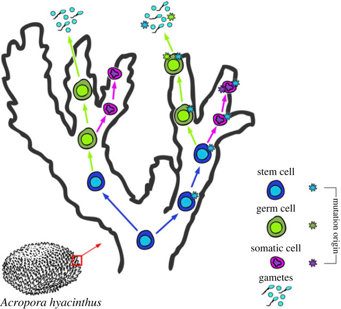 Figure 5. 