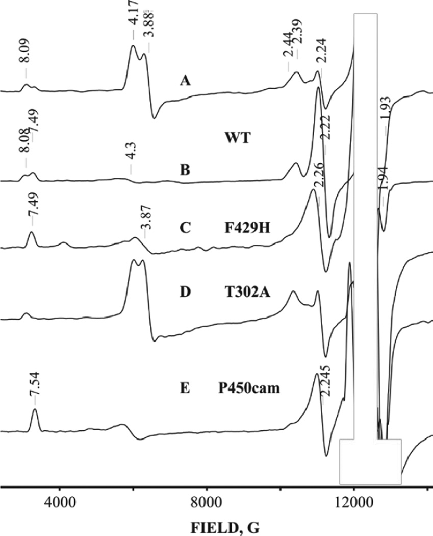 Fig. 3