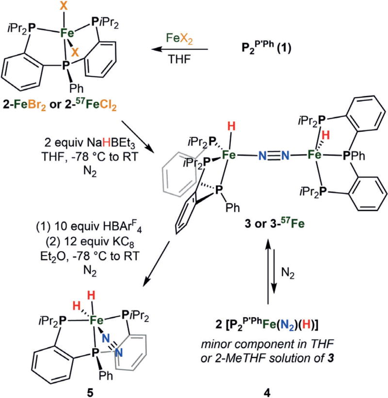 Scheme 2